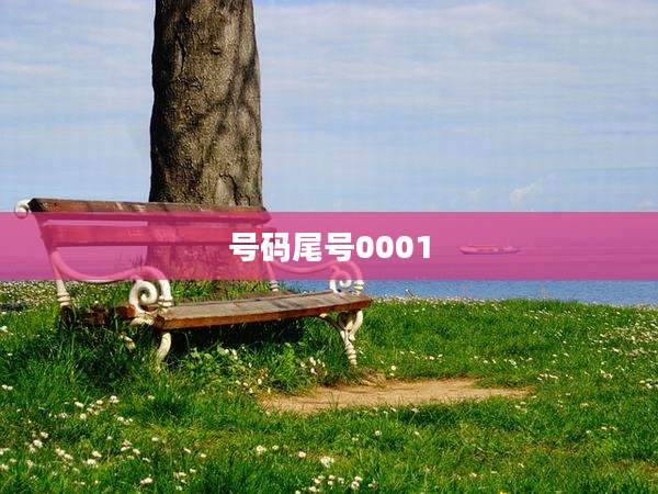 号码尾号0001