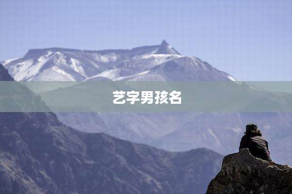 艺字男孩名