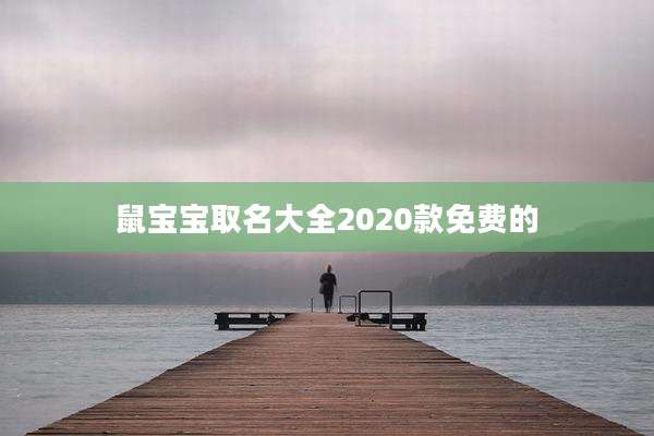 鼠宝宝取名大全2020款免费的