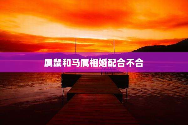 属鼠和马属相婚配合不合