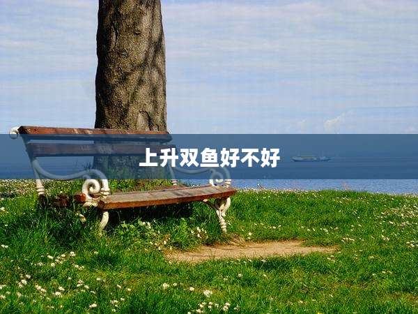 上升双鱼好不好