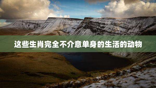 这些生肖完全不介意单身的生活的动物