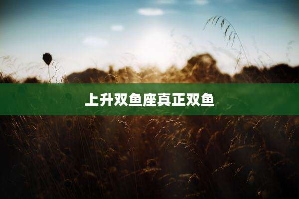 上升双鱼座真正双鱼