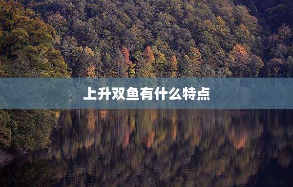 上升双鱼有什么特点