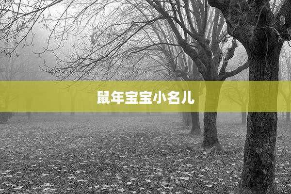 鼠年宝宝小名儿