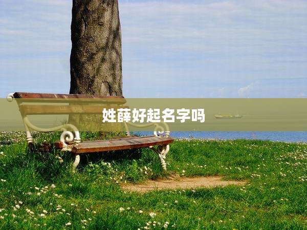 姓薛好起名字吗