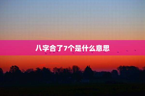 八字合了7个是什么意思