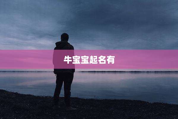 牛宝宝起名有