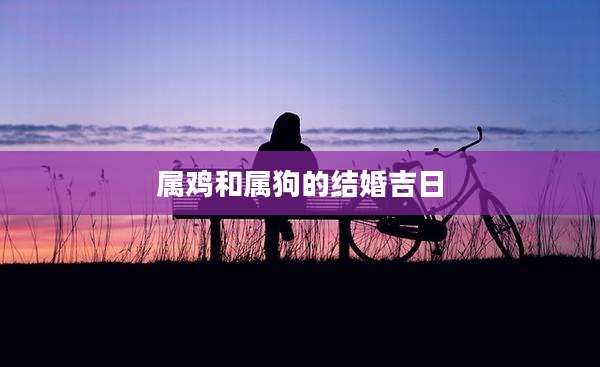 属鸡和属狗的结婚吉日