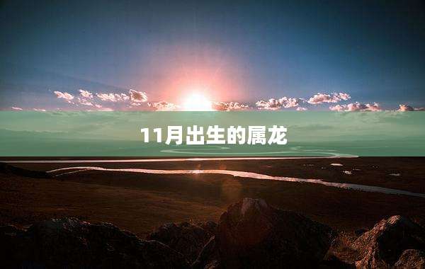 11月出生的属龙
