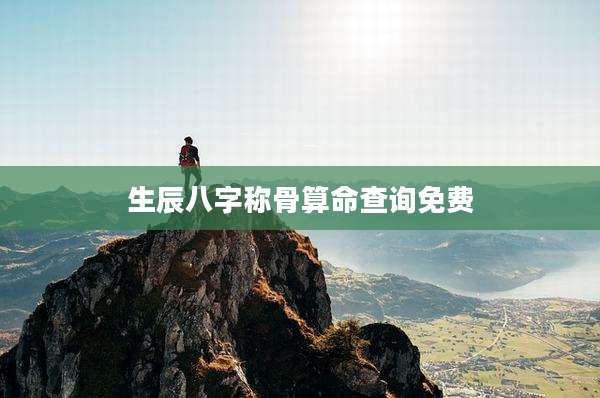 生辰八字称骨算命查询免费