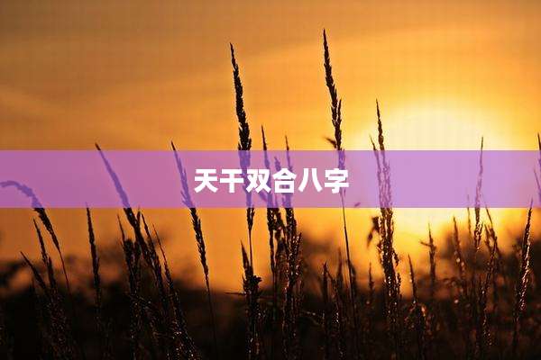 天干双合八字