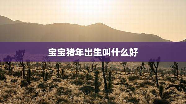 宝宝猪年出生叫什么好