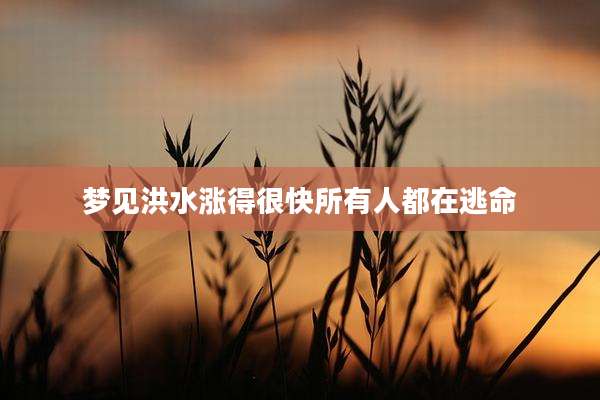 梦见洪水涨得很快所有人都在逃命