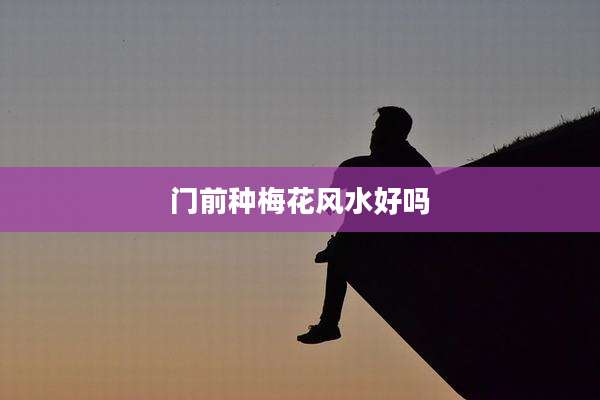 门前种梅花风水好吗