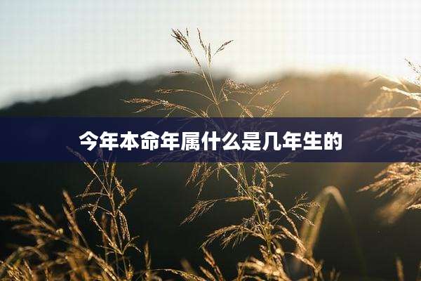 今年本命年属什么是几年生的