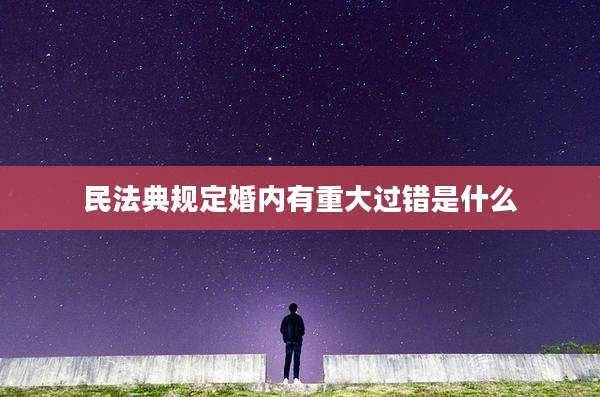 民法典规定婚内有重大过错是什么