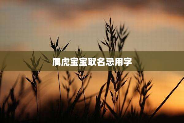 属虎宝宝取名忌用字