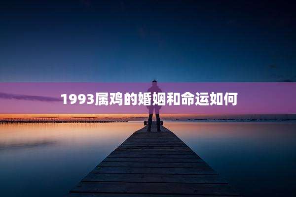 1993属鸡的婚姻和命运如何