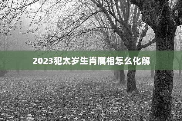 2023犯太岁生肖属相怎么化解