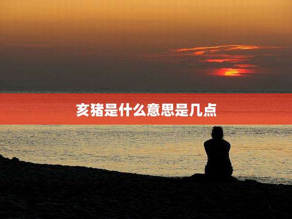 亥猪是什么意思是几点