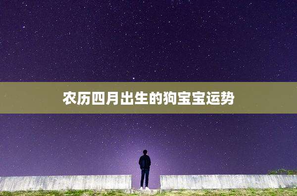 农历四月出生的狗宝宝运势