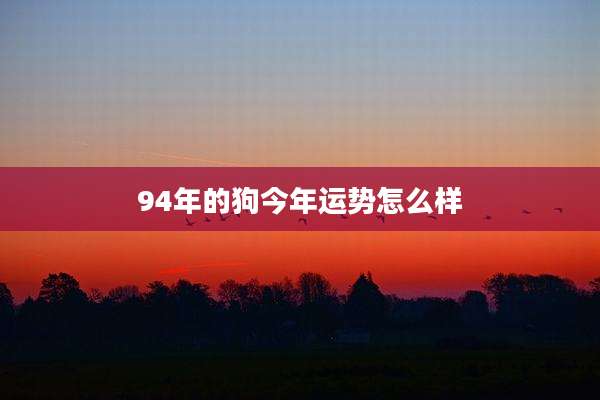 94年的狗今年运势怎么样