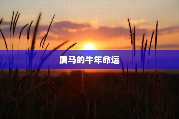 属马的牛年命运