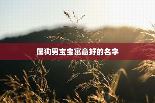 属狗男宝宝寓意好的名字