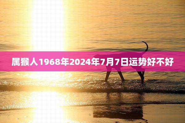 属猴人1968年2024年7月7日运势好不好