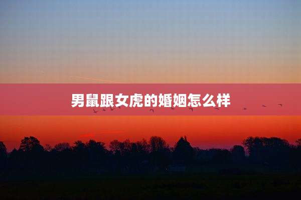 男鼠跟女虎的婚姻怎么样