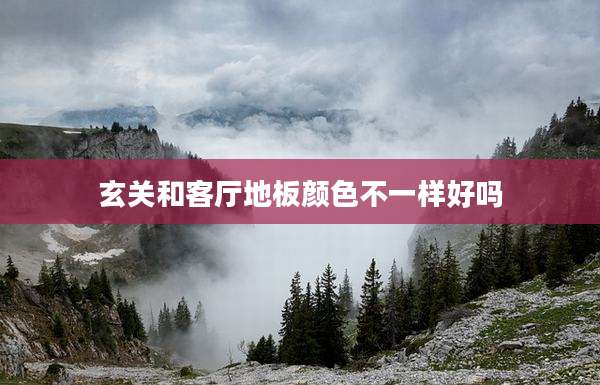 玄关和客厅地板颜色不一样好吗