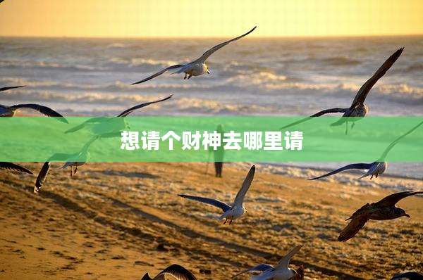想请个财神去哪里请