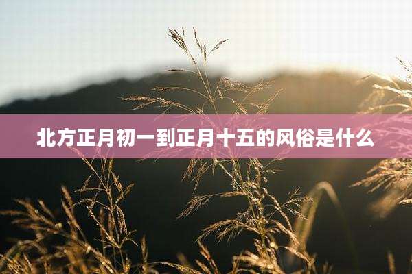 北方正月初一到正月十五的风俗是什么