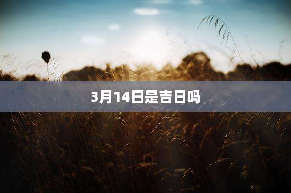 3月14日是吉日吗