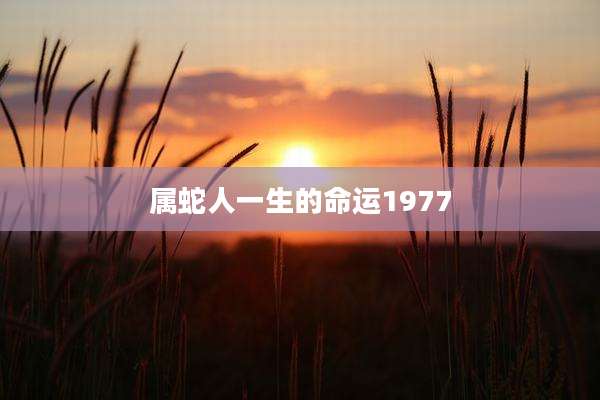 属蛇人一生的命运1977