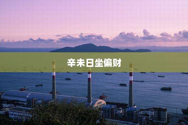 辛未日坐偏财