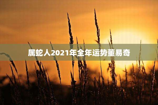 属蛇人2021年全年运势董易奇