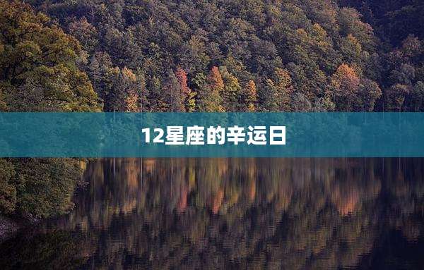 12星座的辛运日