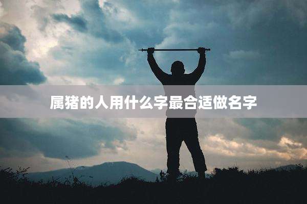 属猪的人用什么字最合适做名字