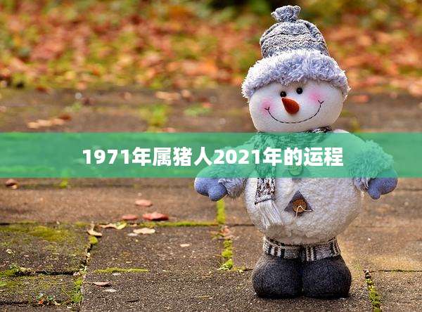 1971年属猪人2021年的运程