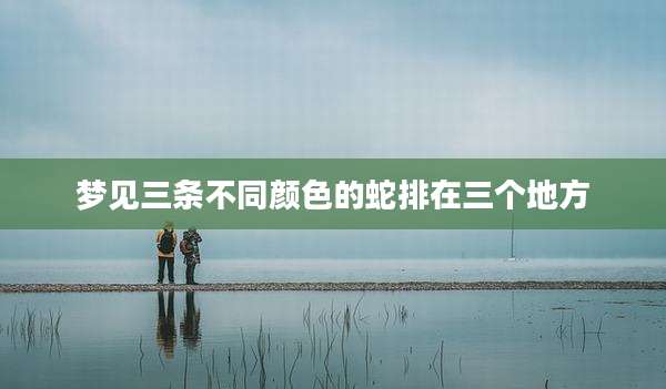 梦见三条不同颜色的蛇排在三个地方