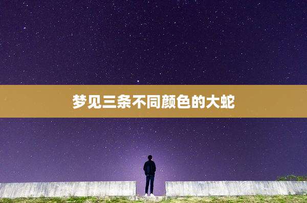 梦见三条不同颜色的大蛇