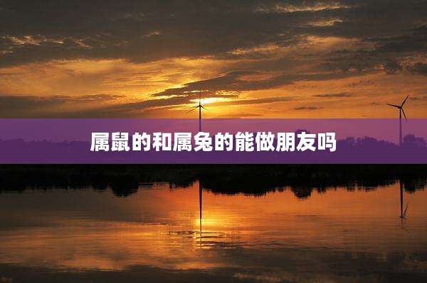 属鼠的和属兔的能做朋友吗