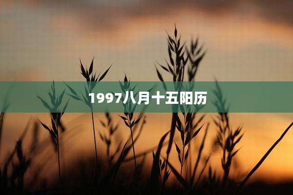 1997八月十五阳历