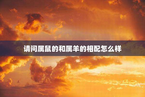 请问属鼠的和属羊的相配怎么样