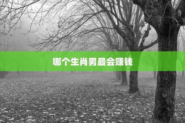 哪个生肖男最会赚钱