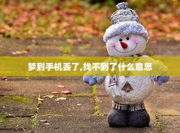 梦到手机丢了,找不到了什么意思