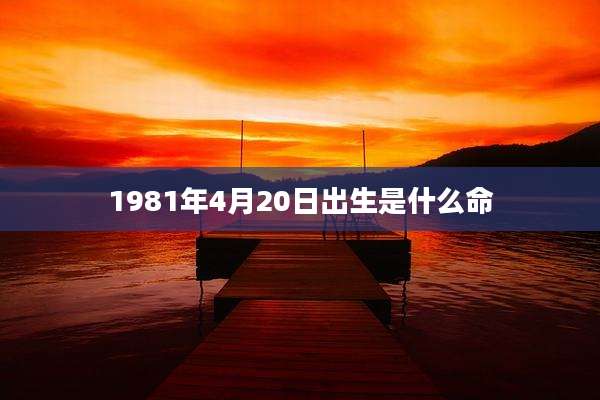 1981年4月20日出生是什么命