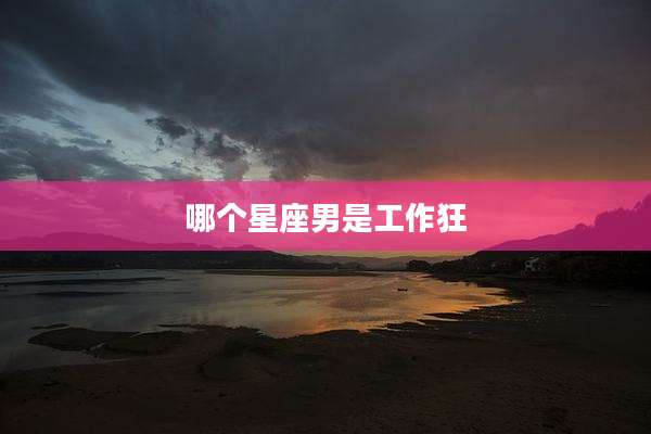 哪个星座男是工作狂